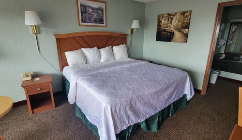 Habitación básica, 1 cama de matrimonio grande