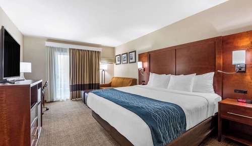 Habitación estándar, 1 cama de matrimonio grande con sofá cama, no fumadores (Roll-In Shower)