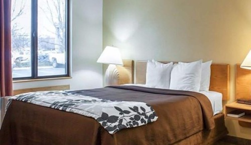 Habitación, 1 cama de matrimonio, accesible para personas con discapacidad (Pet Friendly)