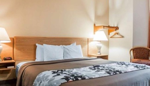 Habitación, 1 cama de matrimonio grande, no fumadores (Pet Friendly)