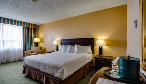 Habitación estándar, 1 cama de matrimonio grande