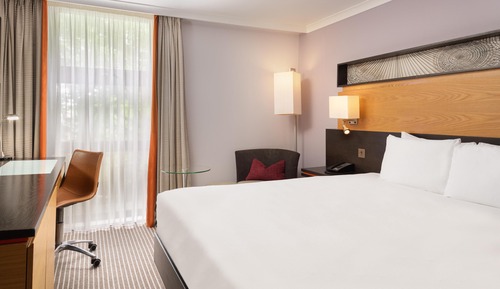 Habitación Deluxe, 1 cama doble