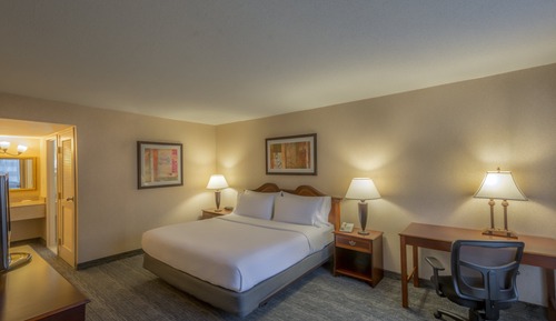 Suite, 1 cama de matrimonio grande con sofá cama