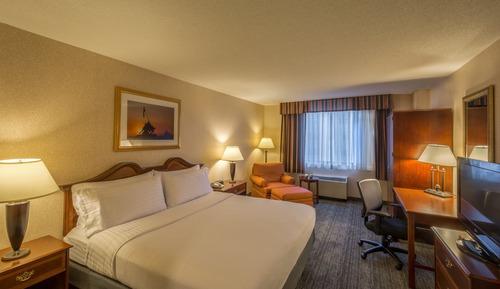 Habitación Premium, 1 cama de matrimonio grande