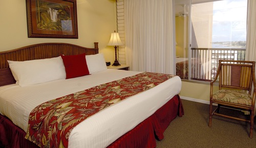 Habitación estándar, 1 cama de matrimonio grande (No Balcony/No Kitchen)