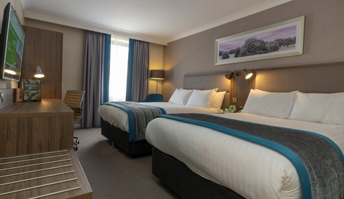 Habitación estándar, 2 camas dobles