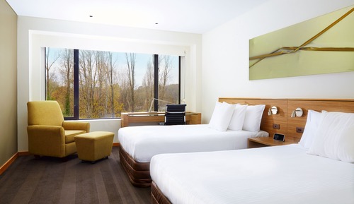 Habitación Premium, 2 camas dobles (Glebe Park View)