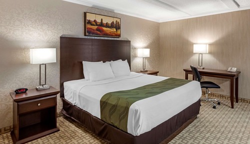 Suite, varias camas, no fumadores