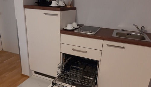 Suite, 1 cama de matrimonio con sofá cama, cocina básica (Family Room)