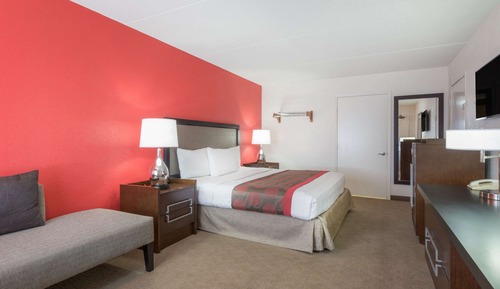 Habitación, 1 cama de matrimonio grande, accesible para personas con discapacidad (Roll-In Shower)