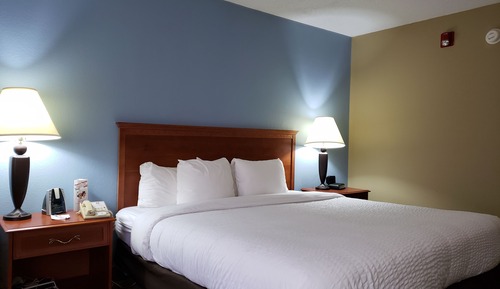 Habitación estándar, 1 cama de matrimonio grande, no fumadores (Pet Friendly)