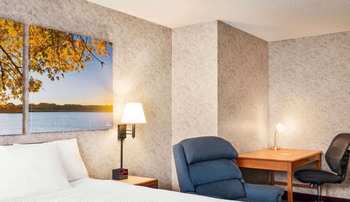 Habitación Business, 1 cama de matrimonio grande, no fumadores (Pet Friendly)