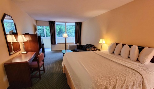 Habitación estándar, 1 cama de matrimonio grande, no fumadores