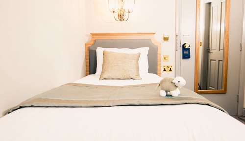 Habitación individual estándar