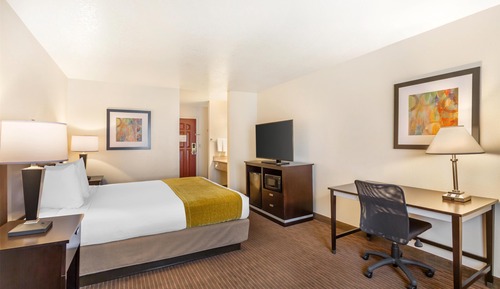 Habitación estándar, 1 cama de matrimonio grande, no fumadores, frigorífico