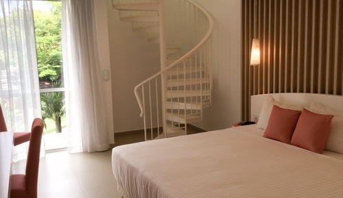 Suite junior, 1 cama de matrimonio grande con sofá cama