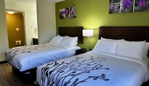 Habitación estándar, 2 camas dobles, no fumadores