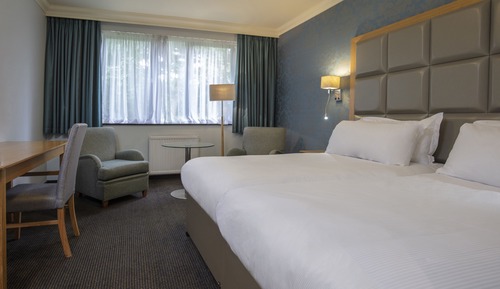 Habitación Deluxe doble