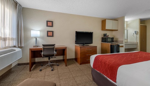 Habitación estándar, 1 cama de matrimonio grande, no fumadores (No Pets)