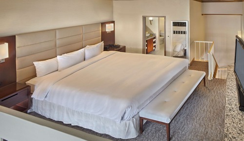 Suite presidencial, 1 cama de matrimonio grande