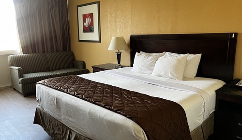 Habitación estándar, 1 cama de matrimonio grande