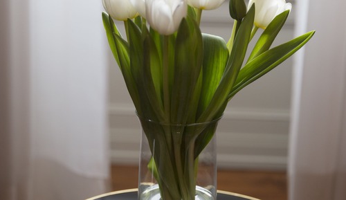 Habitación clásica