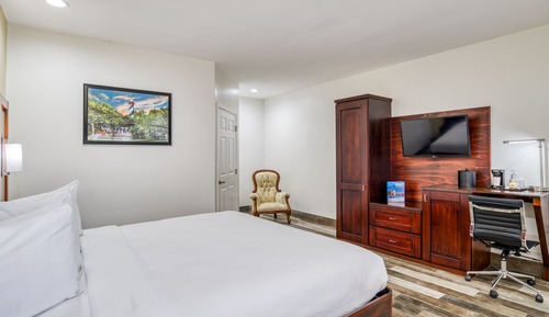 Habitación estándar, 1 cama de matrimonio grande, no fumadores