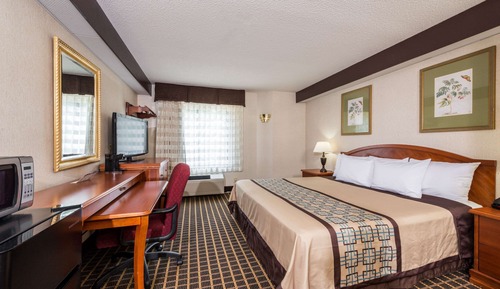 Habitación estándar, 1 cama de matrimonio grande