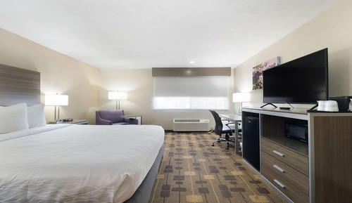 Habitación estándar, 1 cama de matrimonio, no fumadores, frigorífico y microondas