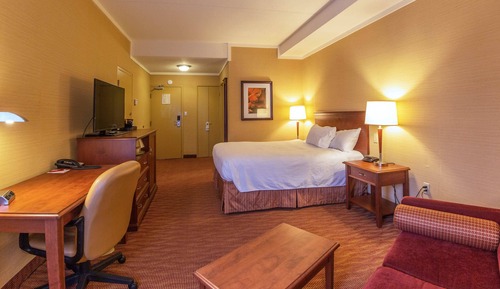 Habitación estándar, 1 cama de matrimonio, no fumadores, frigorífico (Walk-in Shower;with Sofabed)