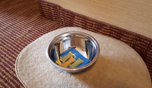 Habitación estándar, 2 camas dobles, no fumadores, frigorífico (Pet Friendly)