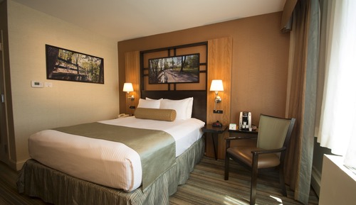 Estudio estándar, 1 cama de matrimonio, no fumadores, frigorífico y microondas