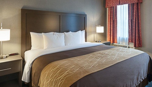 Habitación estándar, 1 cama de matrimonio grande, no fumadores (Courtyard)