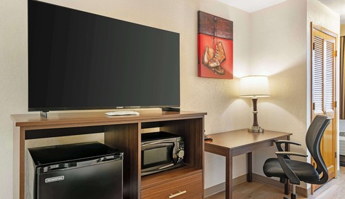 Habitación estándar, 1 cama de matrimonio grande, accesible para personas con discapacidad