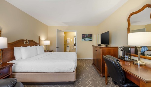 Habitación estándar, 1 cama de matrimonio grande, fumadores, frigorífico y microondas