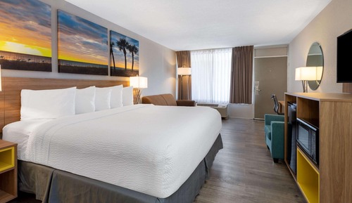 Habitación, 1 cama de matrimonio grande con sofá cama (Mobility, Hearing, Roll-In Shower)