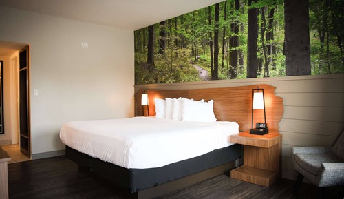 Habitación estándar, 1 cama de matrimonio grande, no fumadores (Walk-in Shower;Theme Room)