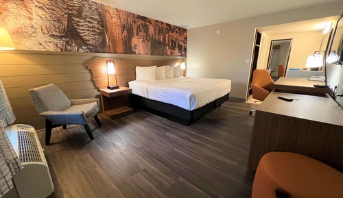 Habitación estándar, 1 cama de matrimonio grande, no fumadores (Walk-in Shower;Theme Room)