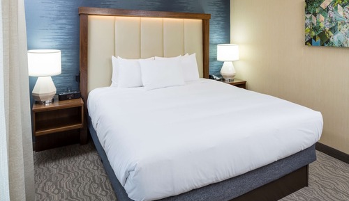 Habitación, 1 cama de matrimonio grande