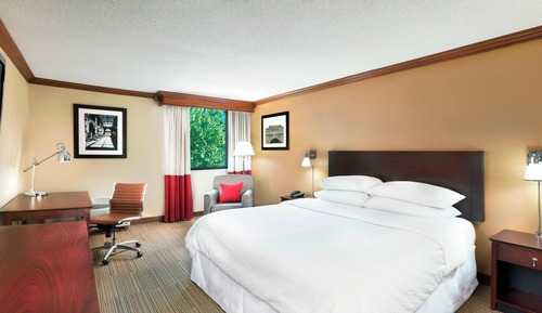 Habitación, 1 cama de matrimonio grande