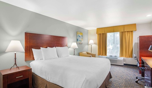 Habitación estándar, 1 cama de matrimonio grande, accesible para personas con discapacidad