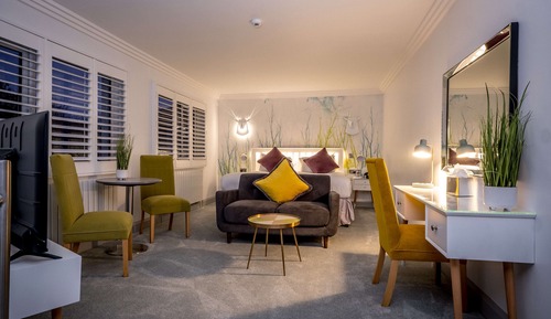 Suite, 1 cama de matrimonio grande, no fumadores, bañera de hidromasaje (Presidential)