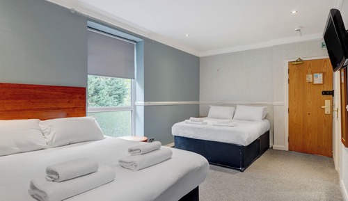 Habitación cuádruple estándar