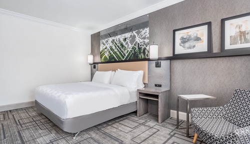 Habitación estándar, 1 cama de matrimonio grande, vistas a la ciudad