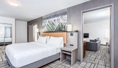 Suite, 1 cama de matrimonio grande (Top Floor)