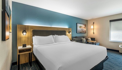 Habitación estándar, 1 cama de matrimonio grande con sofá cama, no fumadores (Hearing Accessible)