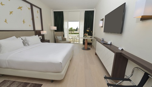 Habitación ejecutiva, 1 cama de matrimonio grande