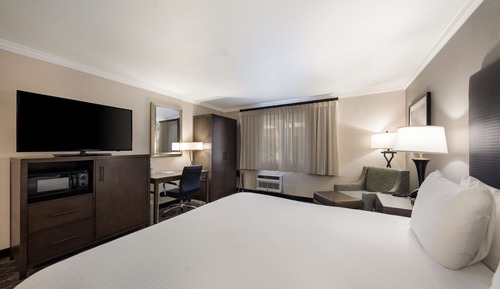 Habitación estándar, 1 cama de matrimonio grande, no fumadores (Pet Friendly)