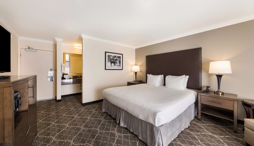 Habitación estándar, 1 cama de matrimonio grande, no fumadores, patio (Not Pet Friendly)