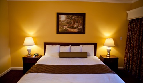 Habitación estándar, 1 cama de matrimonio grande, no fumadores